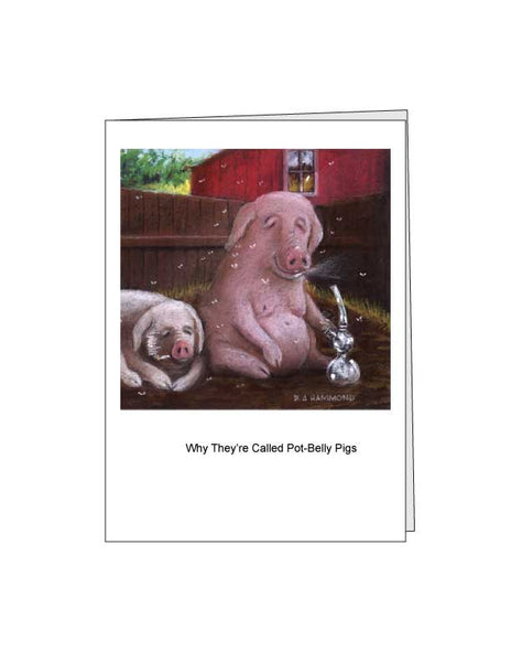 Notecard: Why They're Called Pot Belly Pigs