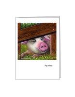 Notecard: Pig-A-Boo