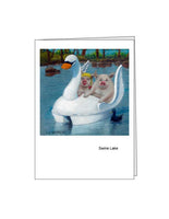 Notecard: Swine Lake