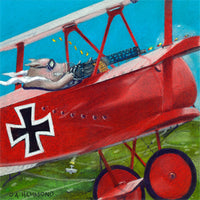 Matted Large Print: A Porker in a Fokker
