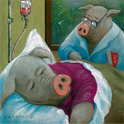 Framed print: Hogspital, Where Ham Is Cured
