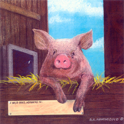 Matted Large Print: Looking for a Pen Pal