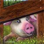 Framed print: Pig-A-Boo
