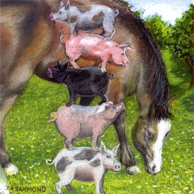 Matted Large Print: Measures 4-1/2 Hams