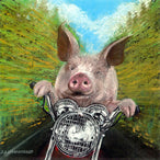 Framed print: Road Hog