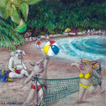 Matted Large Print: Bay of Pigs